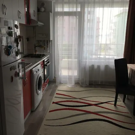 Summerland Sara * Mamaia